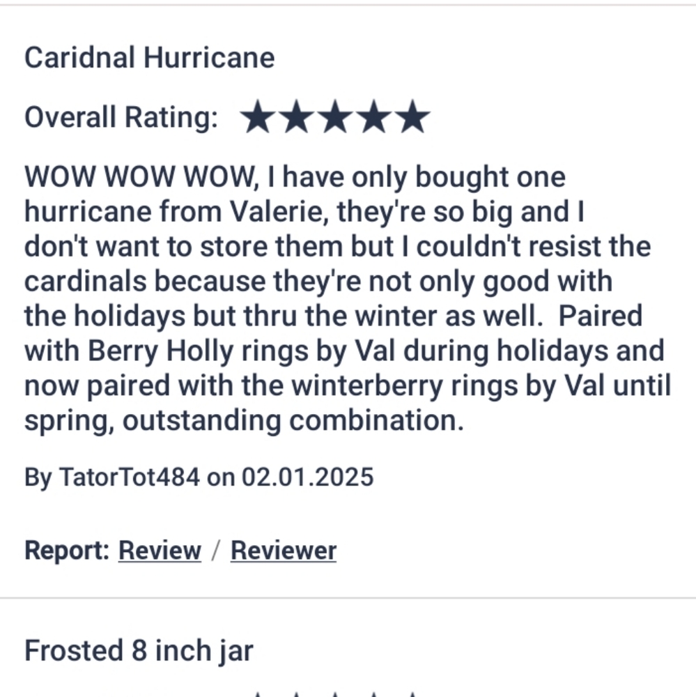 Holiday hurricane/vase 8" frosted glass w/ cardinals, by Valeri/Qvc,w-lights,New - Picture 14 of 16